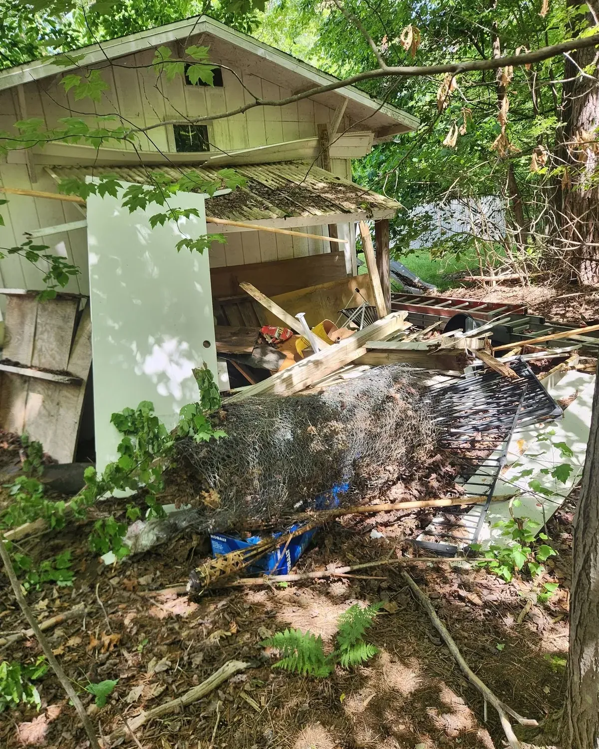Collapsed backyard shed with broken boards and debris