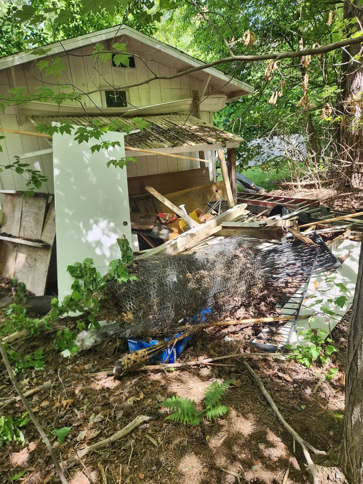 Collapsed backyard shed with broken boards and debris
